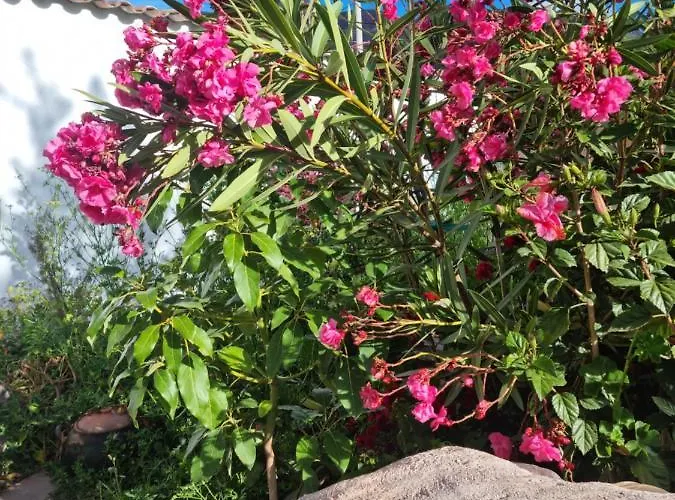 Affittacamere Florez De La - Sacred Valley